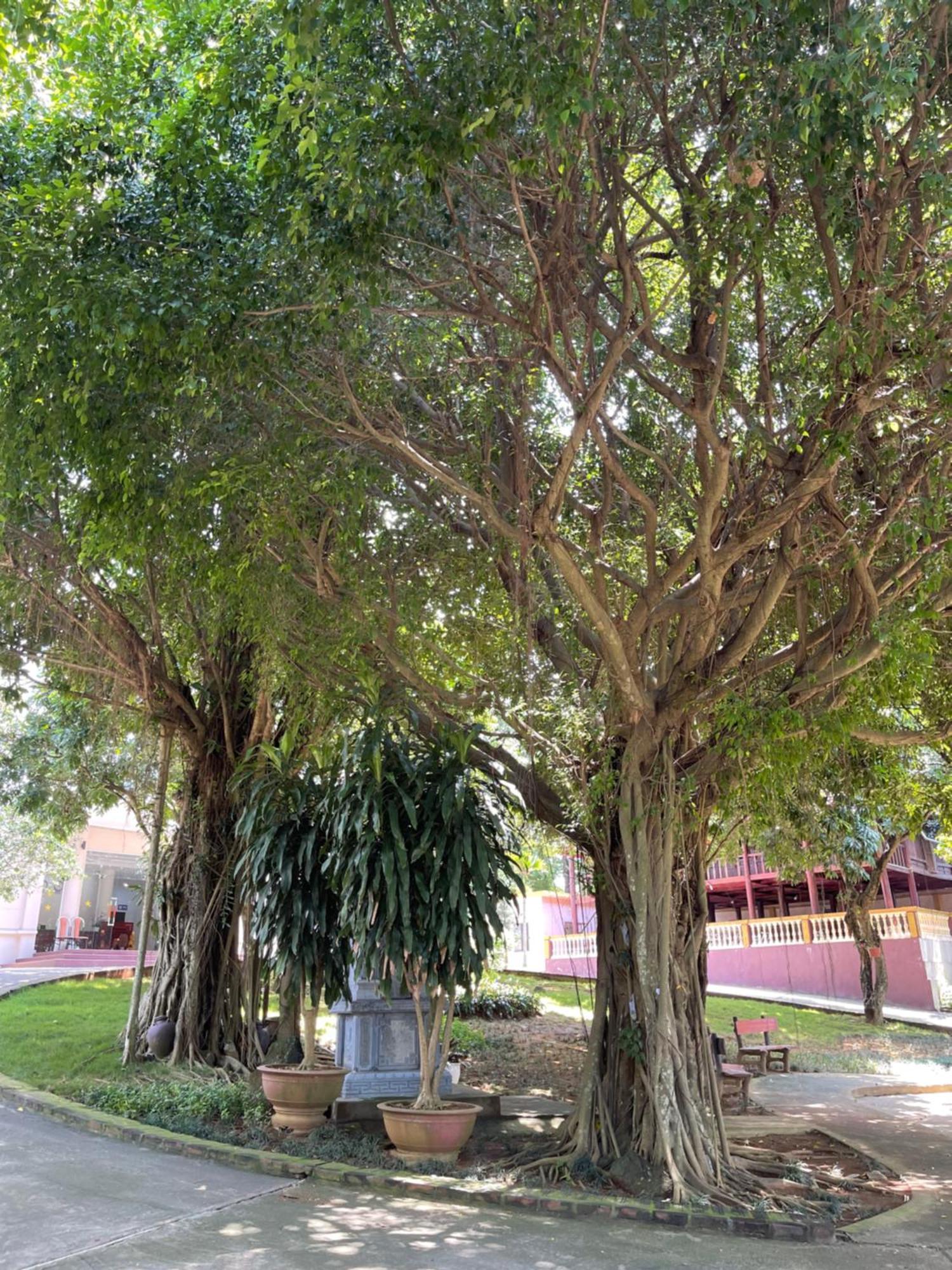 Thien Binh Hotel Hoa Binh Luaran gambar